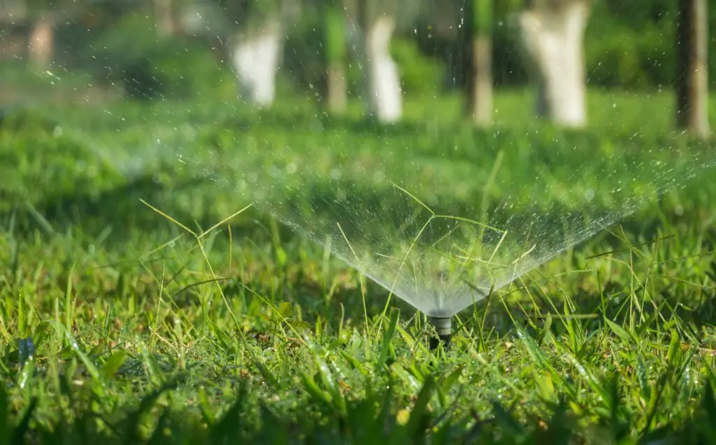 Certificat de Spécialité Arrosage Automatique Espaces Verts et Sols Sportifs